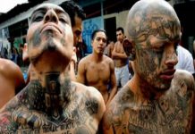 ¿Cómo seleccionaba la Mara Salvatrucha a sus víctimas?