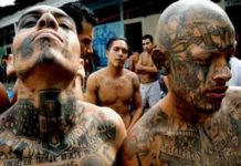 Mareros acorralados se rinden ante policía en El Salvador