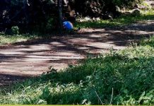 El Salvador: Mueren 7 pandilleros en choques con la policía
