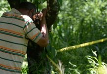 El Salvador: Asesinan a agricultor y a sus dos sobrinos