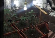 Quiebran narcolaboratorio y hallan nueva droga en Honduras