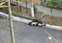Hallan cadáveres embolsados en calles de El Salvador