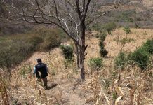 ONU urge a enfrentar El Niño en Guatemala y Honduras