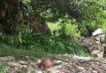 Hallan hombre descuartizado a orillas del río Choluteca