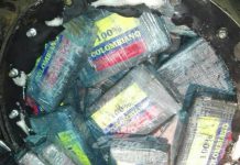 Costa Rica: Decomisan cocaína con sello colombiano