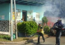 Familias de Managua no le dan alojamiento al zancudo