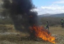 Autoridades destruyen 211 kilos de cocaína en Honduras