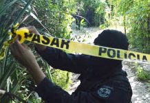 Más de 300 pandilleros han muerto este año en El Salvador