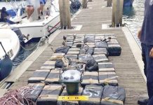 Decomisan 4 toneladas de droga en una semana en Costa Rica