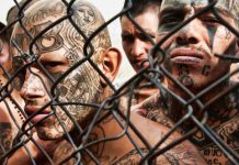 Violencia de pandillas provoca desplazamiento en Honduras