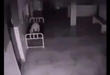 Escalofriante video en un hospital tras muerte de mujer