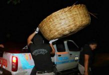 Encuentran mujer desmembrada en cesto de pan en El Salvador