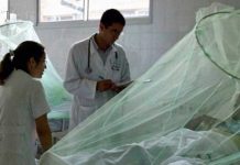 Honduras cerrará año con 80 mil casos de dengue y zika