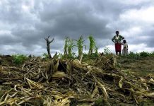 Más de 60 mil familias guatemaltecas solicitan alimentos