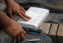 Incautan 1,4 toneladas de cocaína en Colombia