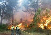 Incendio quema 1.400 hectáreas en España y afecta parque natural