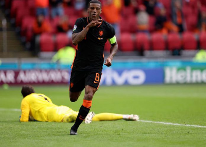 Wil holanda, wil, euro,