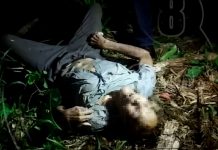 Ancianito fallece tras picaduras de abejas en Bluefields