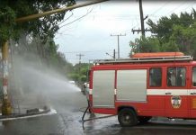 Masaya: Se corren del enjambre de abejas