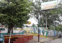 Masaya: Se meten a robar en agroveterinaria