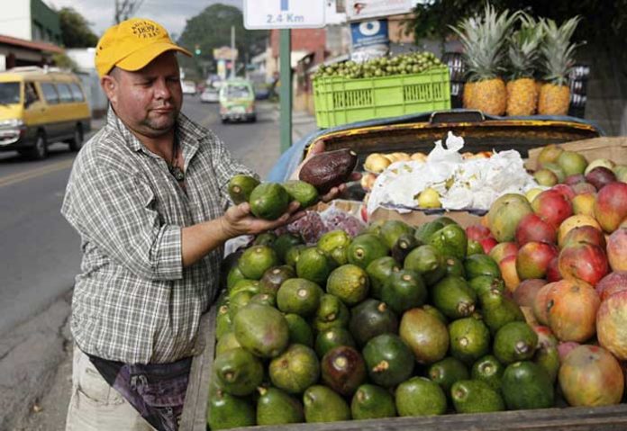 aguacates1