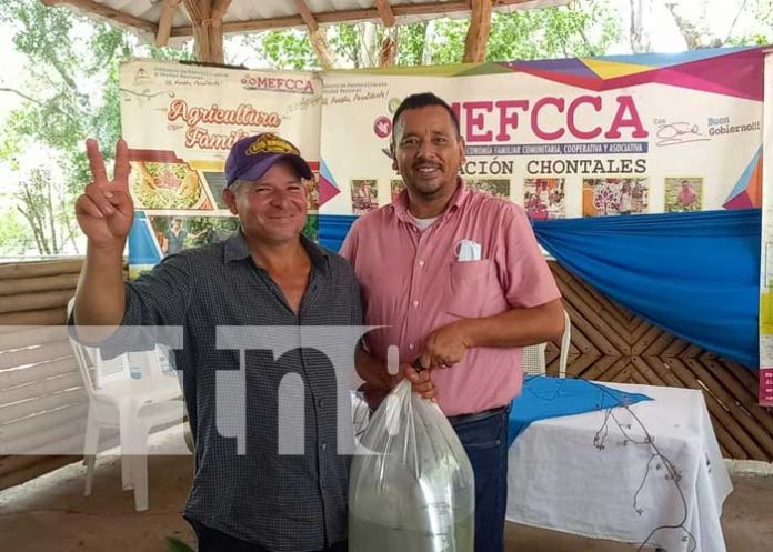 nicaragua, alevines, economia familiar, chontales,