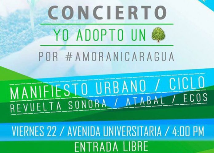 amoran