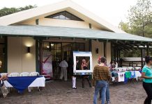 Animado inicio del ciclo de cine japonés en Managua