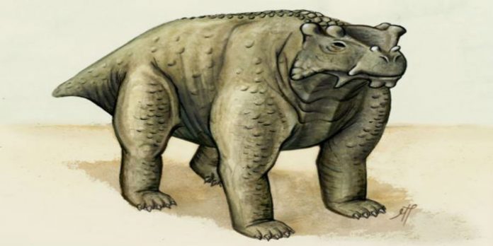 animal-antiguo-uno