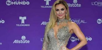 entretenimiento, aracely arambula, telenovela,