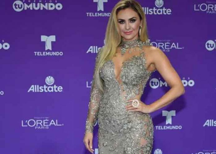araceli entretenimiento, aracely arambula, telenovela,