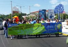 15 millones de árboles listos para reforestar Nicaragua