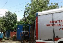 Cae árbol y destruye parte de un hogar en Managua