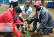 Estudiantes de Tipitapa realizan jornada de reforestación