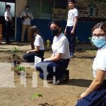 nicaragua, managua, jornada, siembra de arboles,