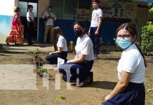 Nicaragua reforesta escuela pública en Valle Sandino nicaragua, managua, jornada, siembra de arboles,