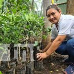 nicaragua, dia nacional del arbol, arboretum, conmemoracion,