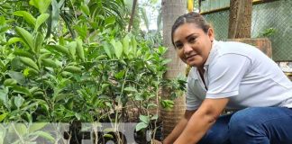 nicaragua, dia nacional del arbol, arboretum, conmemoracion,