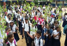 Estudiantes se unieron a la campaña yo adopto un árbol