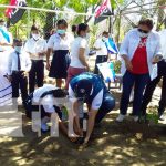 nicaragua, siembra, arboles, colegios, fao,