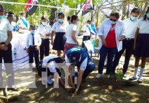 Representante de la FAO en Nicaragua se suma a siembra de árboles en colegios nicaragua, siembra, arboles, colegios, fao,