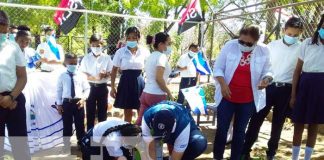 nicaragua, siembra, arboles, colegios, fao,