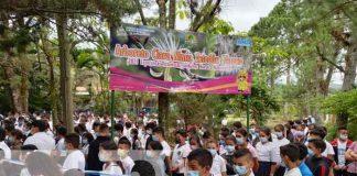 nicaragua, arboreto, jinotega, san sebastian de yali, medio ambiente,