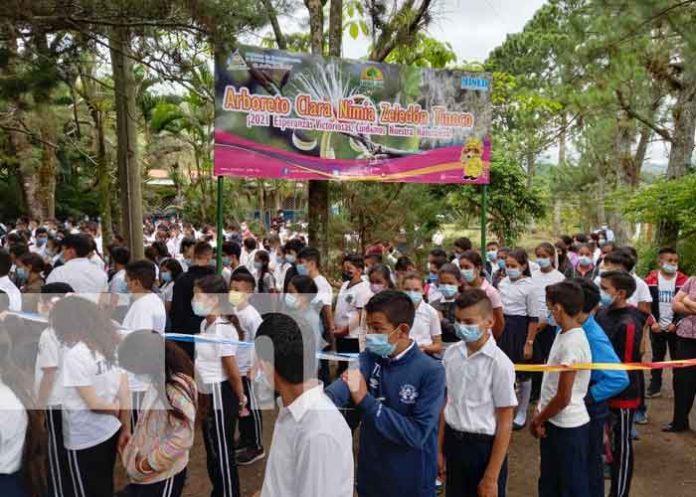 nicaragua, arboreto, jinotega, san sebastian de yali, medio ambiente,