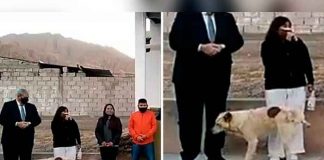 argentina, video, perro, alcaldesa, viral, animales, videos virales,