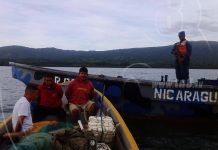 Fuerza Naval captura a sujetos que transportaban municiones de armas guerra