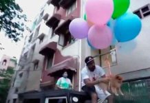 india, youtuber, detencion, maltrato animal, redes sociales, video,