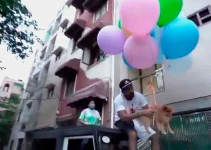 india, youtuber, detencion, maltrato animal, redes sociales, video,