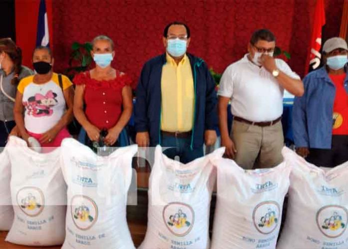 arroz Nicaragua, Tipitapa, bonos, arroz