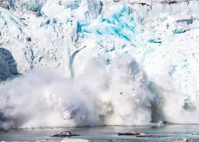 artico, hielo, calentamiento,